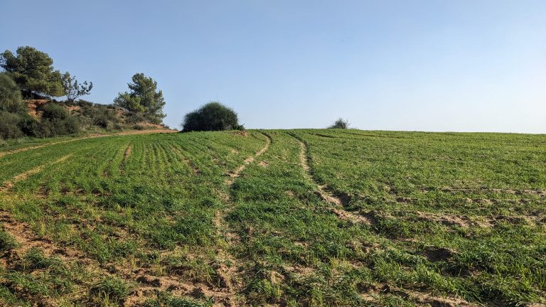 Read more about the article עצות לטיפול ביתי בשיעול