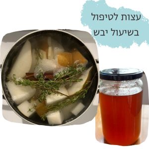 Read more about the article איך מטפלים בשיעול יבש באופן טבעי?